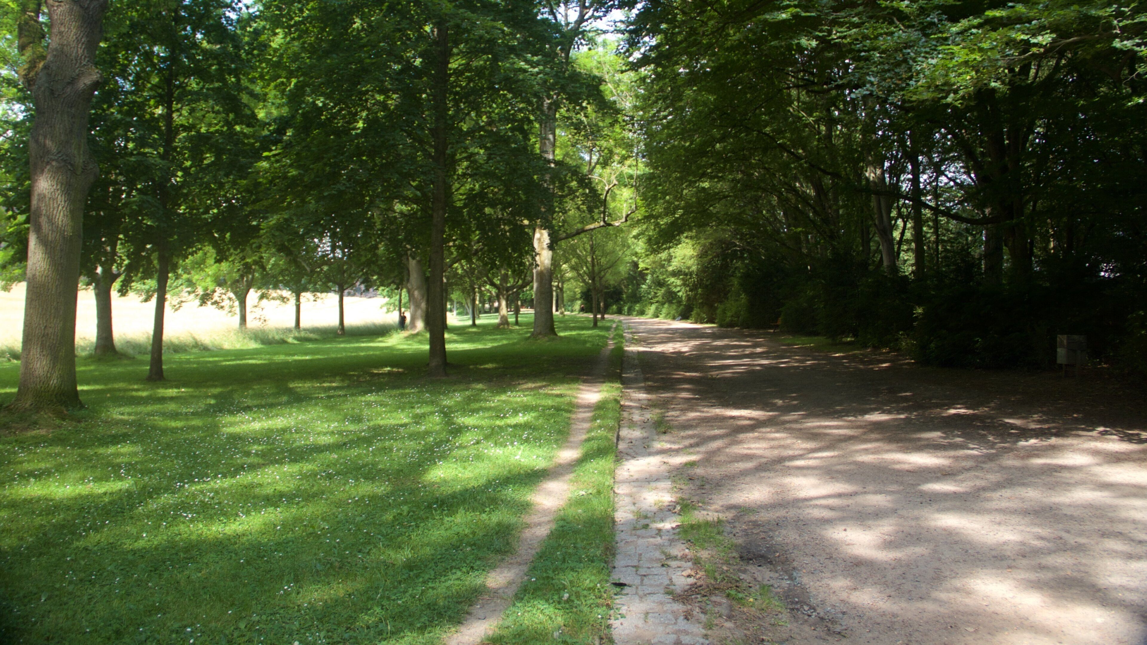 Frankfurt bevat een tuin
