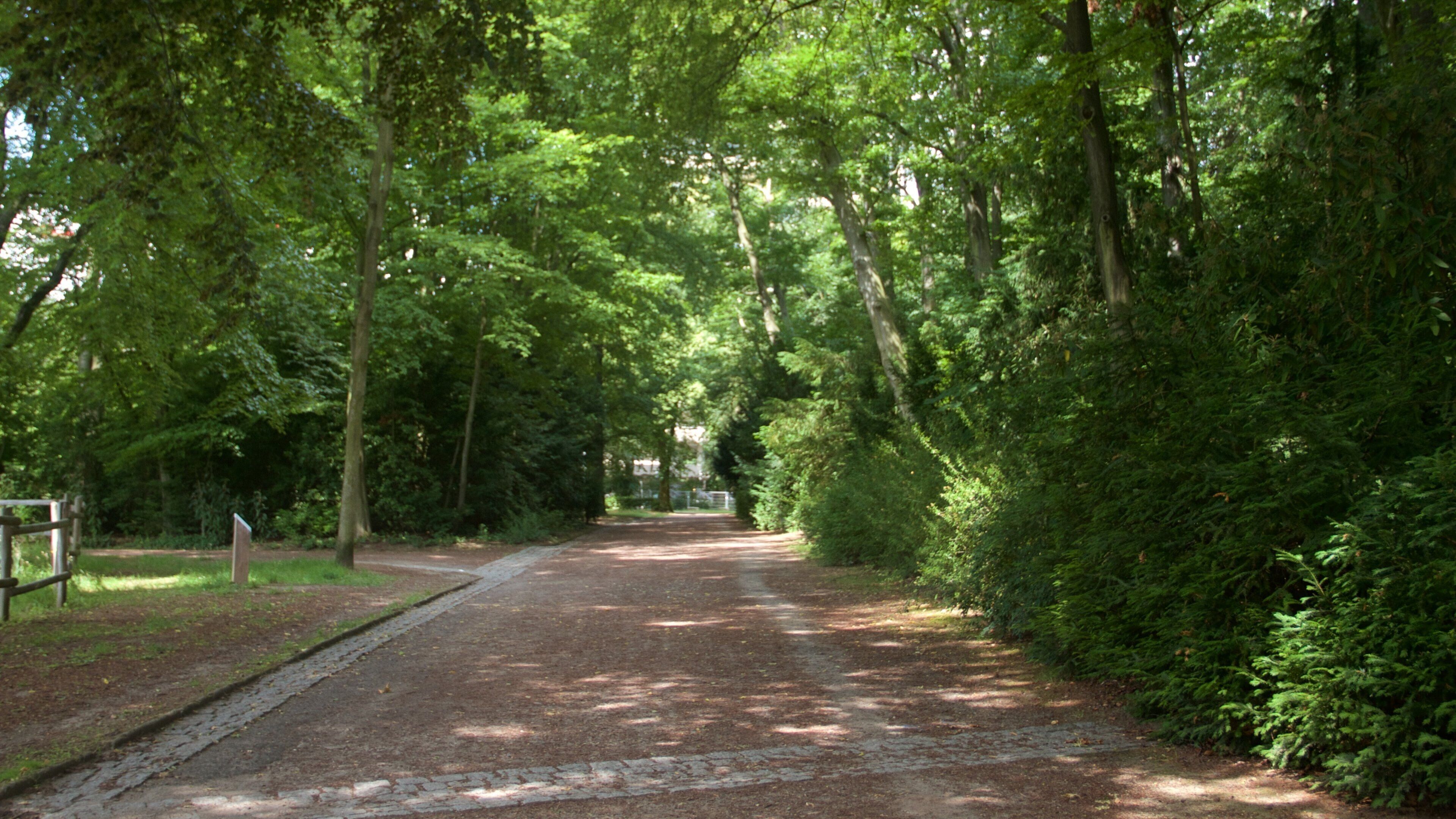 Frankfurt which includes a park