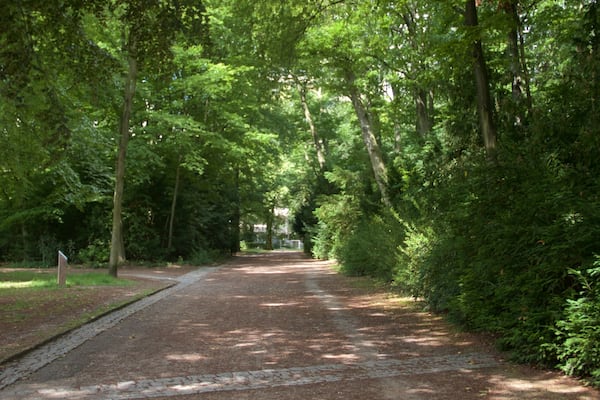 Frankfurt mit einem Garten
