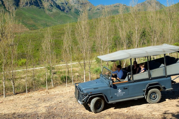 Ein blaues Geländefahrzeug mit Verdeck, beschriftet mit "Waterford Estate Wine Drive", steht auf einer unbefestigten Straße vor einer Bergkulisse.