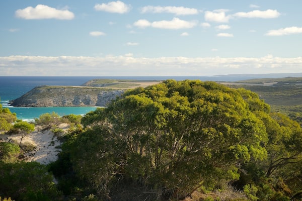 Kangaroo Island