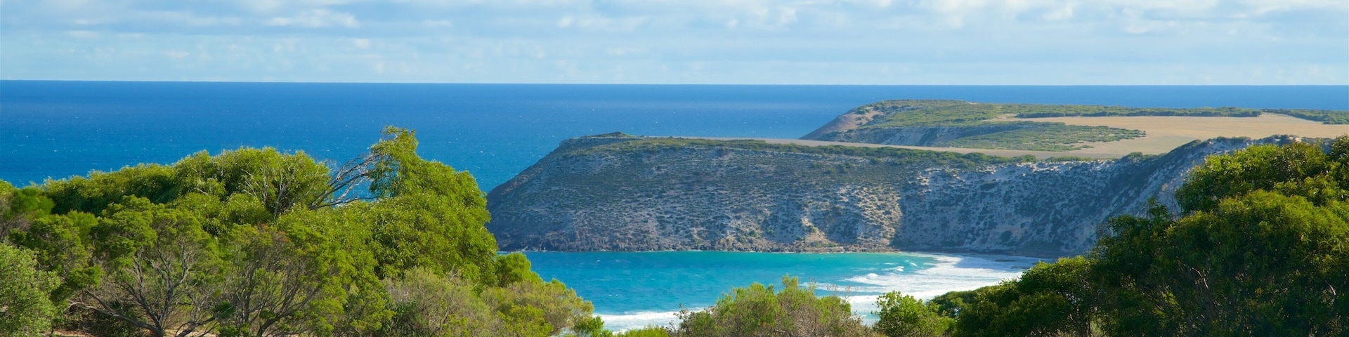 Isla Canguro ofreciendo vista general a la costa y costa escarpada