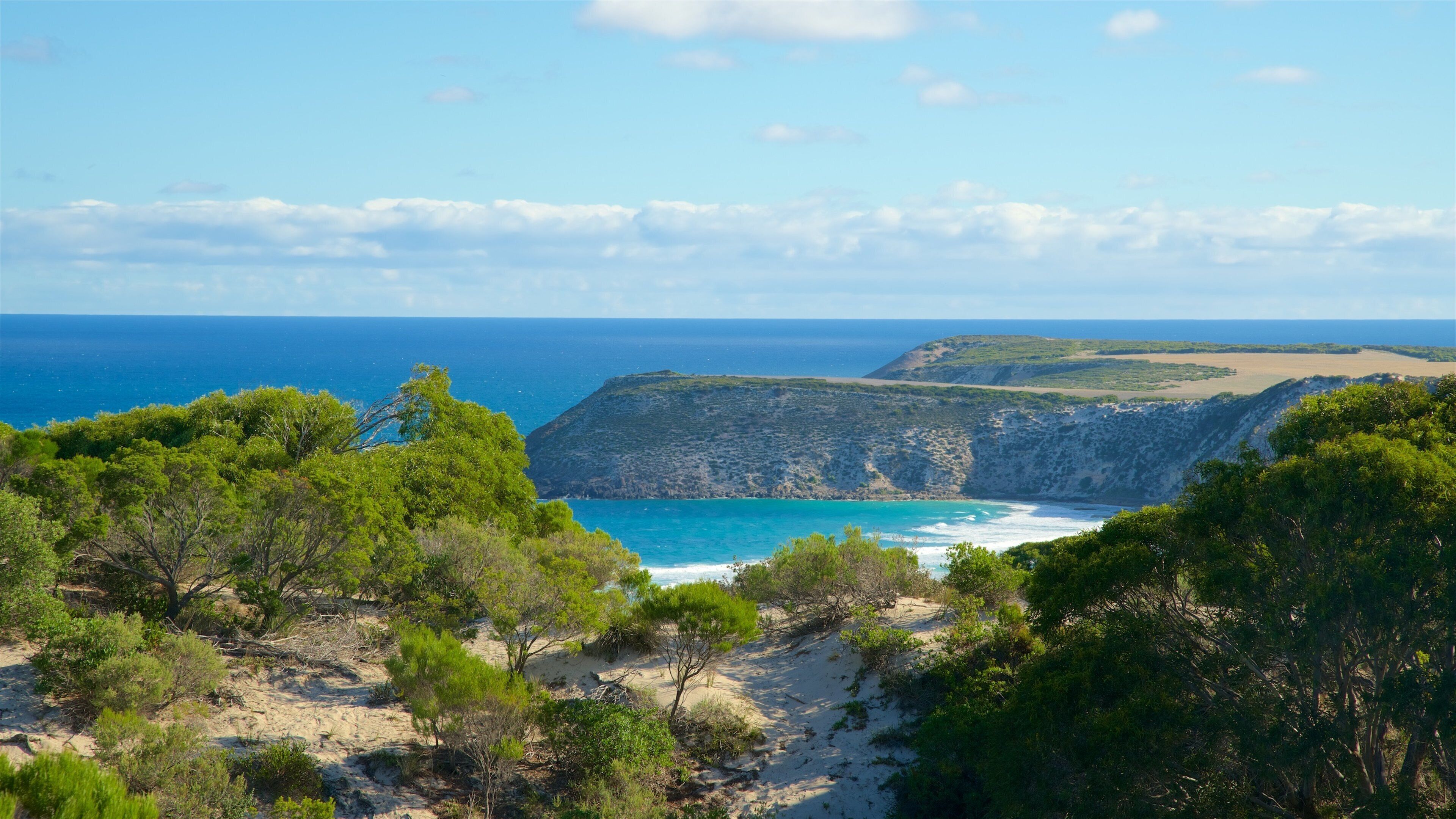 A coastal landscape with a clear blue sea, sandy beach, and green vegetation.