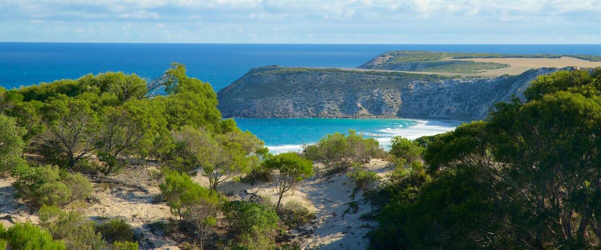 A coastal landscape with a clear blue sea, sandy beach, and green vegetation.