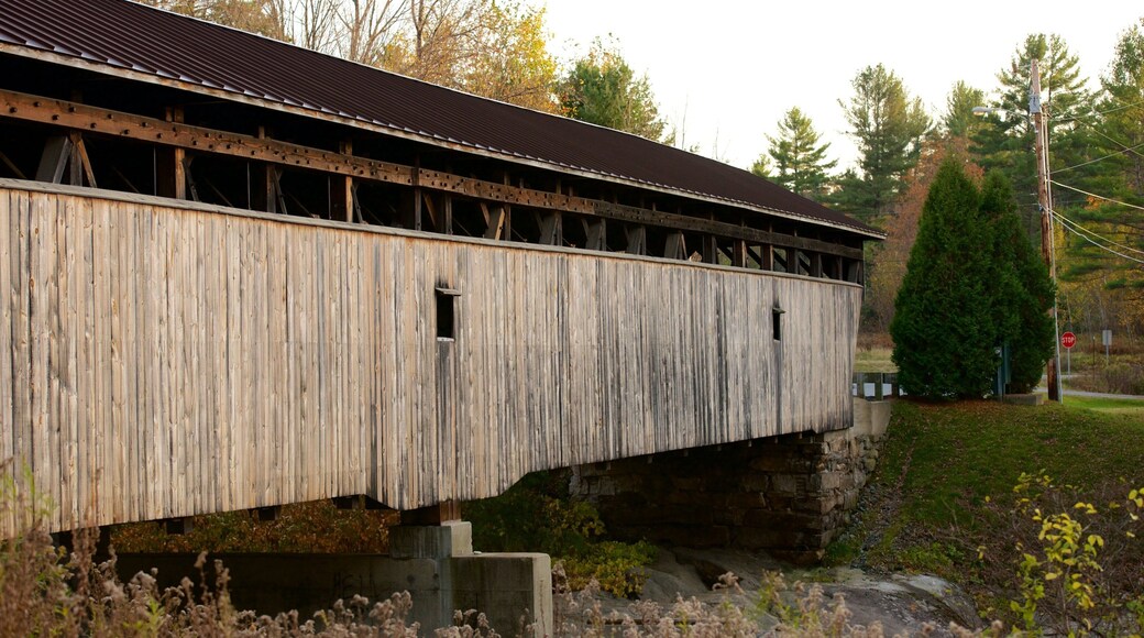 New Hampshire showing a bridge