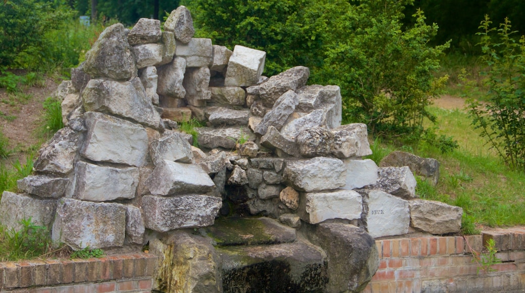 Potsdam montrant jardin