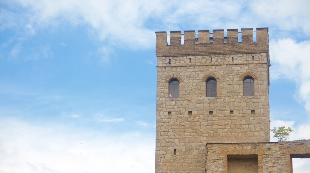Norman Tower at Ruinenberg
