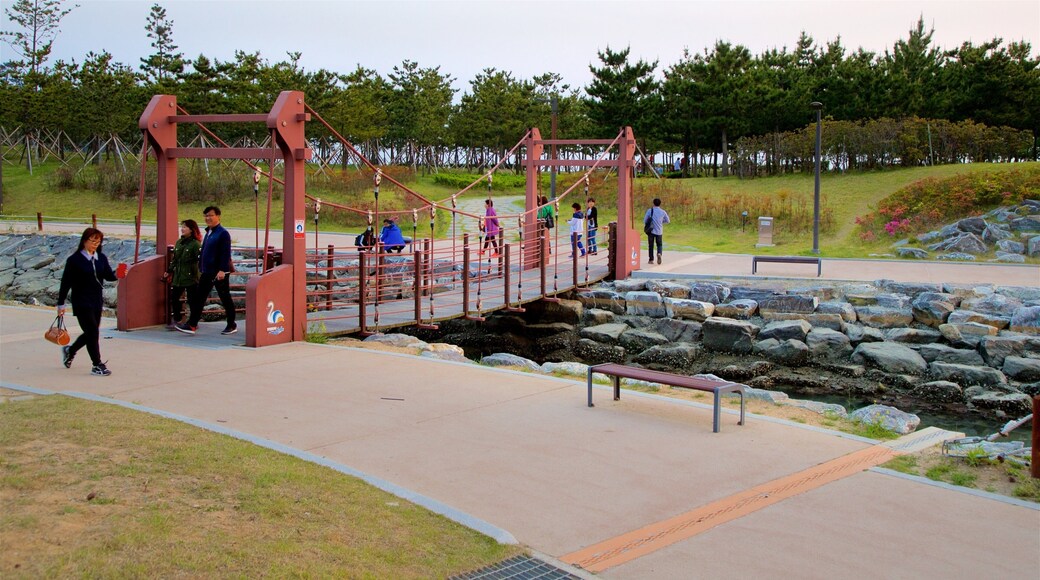 Busan que incluye un río o arroyo, un jardín y un puente