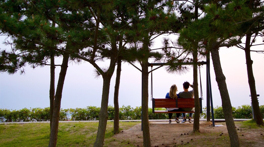 Eulsuko Island featuring a garden as well as a couple