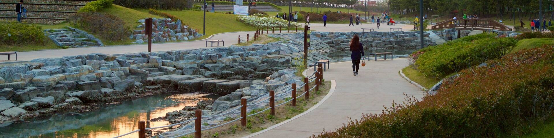 Busan which includes a sunset, a river or creek and a park