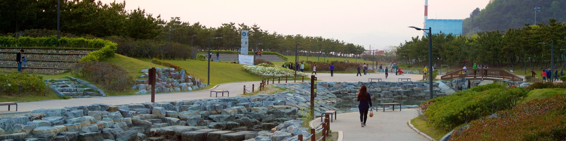 Busan welches beinhaltet Fluss oder Bach, Garten und Sonnenuntergang
