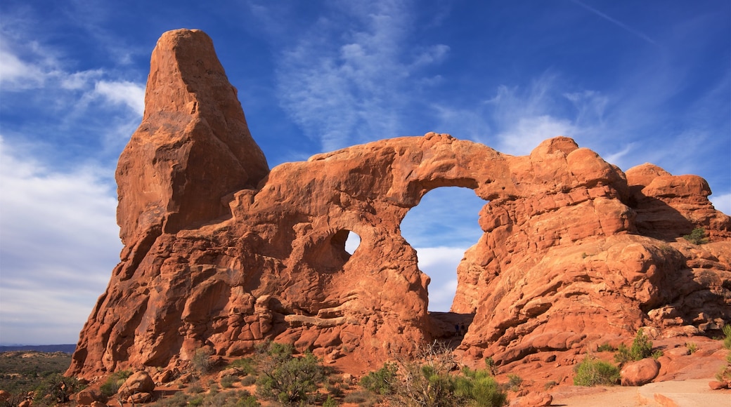 Arches nasjonalpark som inkluderer ørkenutsikt, rolig landskap og kløft eller juv