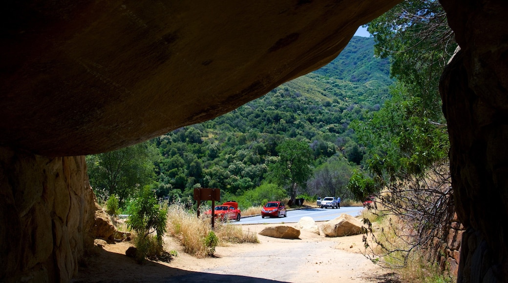 Sequoia National Park som viser huler