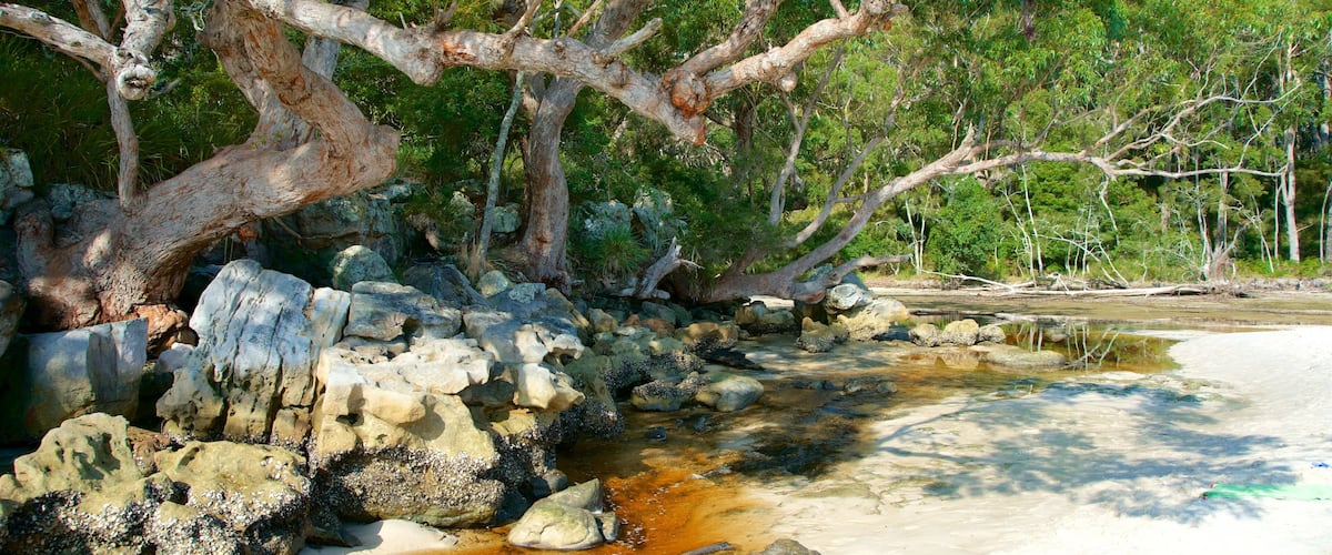 Greenpatch Beach which includes tranquil scenes and a sandy beach