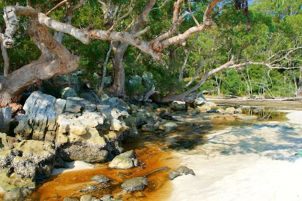 Greenpatch Beach which includes tranquil scenes and a sandy beach