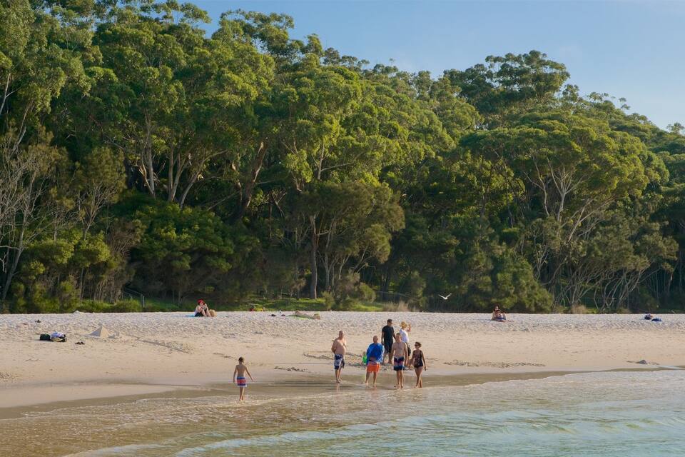 A beach with people sunbathing and swimming, surrounded by dense green trees.