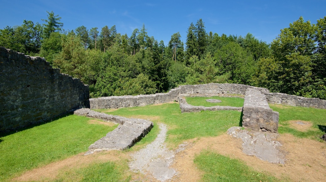 Liechtenstein which includes heritage elements and a ruin