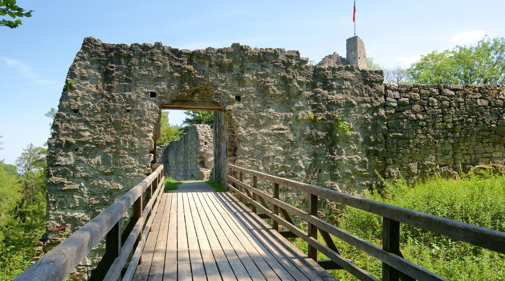 列支敦斯登 设有 建築遺址, 傳統元素 和 橋樑