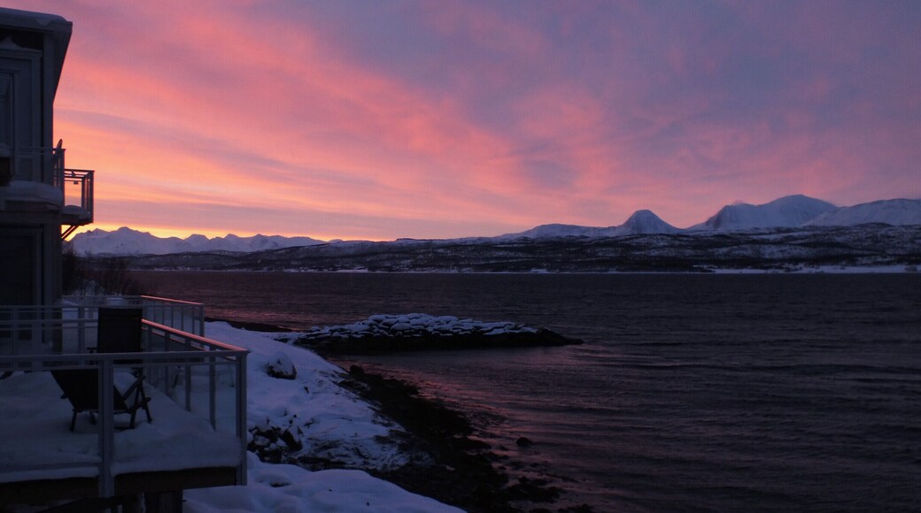 The apartments we rentedin Skutvik at dawn.
#snow