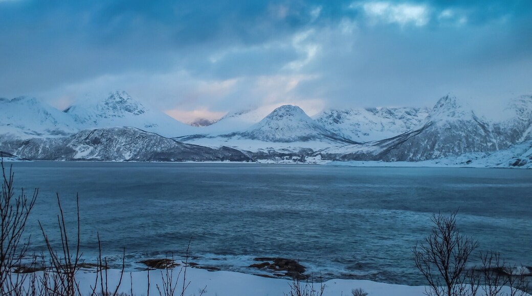 The view from the apartments we rented in Skutvik, great place to see the northern lights. It's an hours drive from Tromso.
#snow