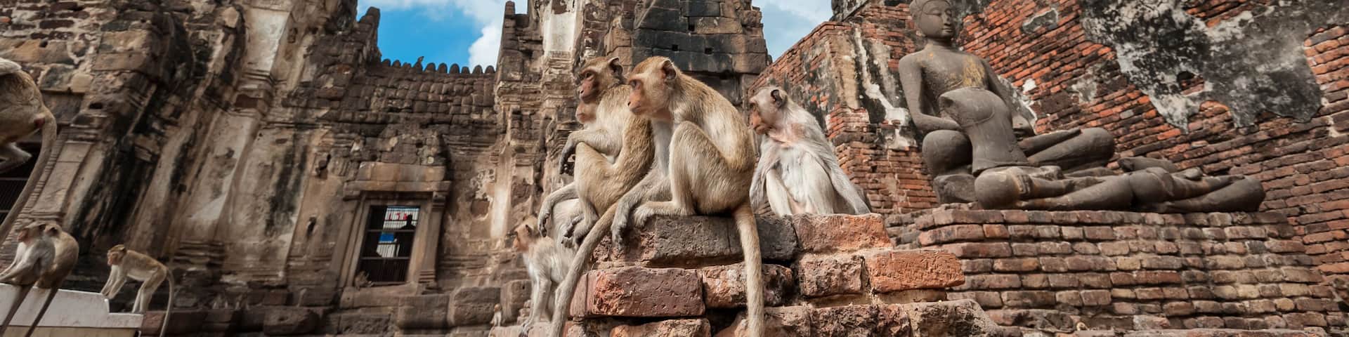 Monkeys on walls of temple in Thailand