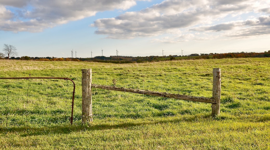 Vacant lot with fence