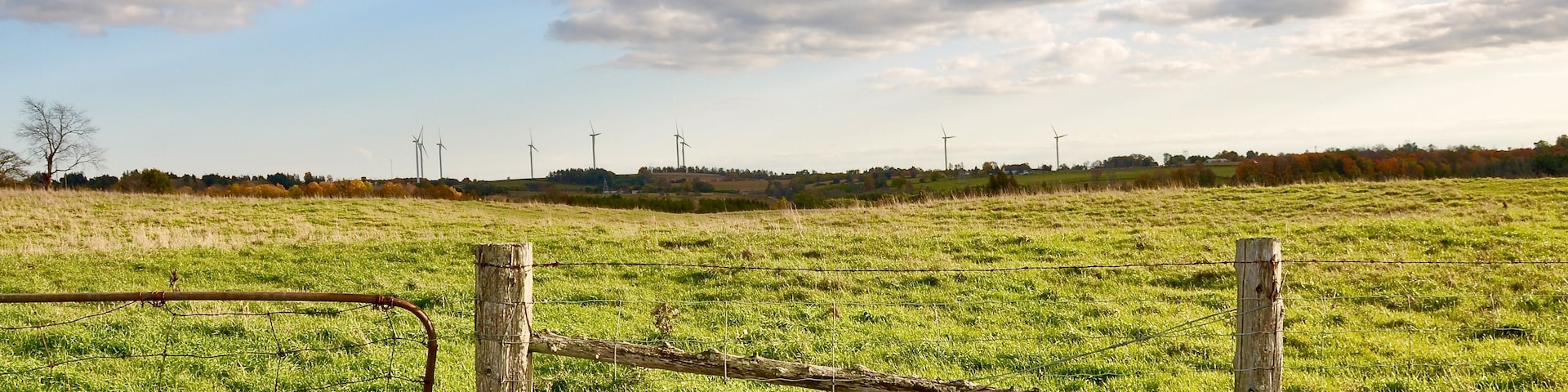 Ein grasbewachsenes Feld mit einem Holzzaun und Windkraftanlagen in der Ferne.