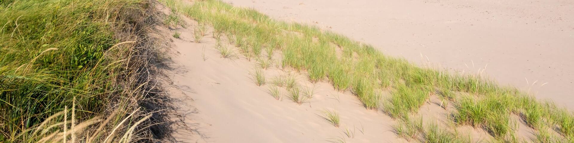 Tranquility on Brackley Beach Prince Edward Island
