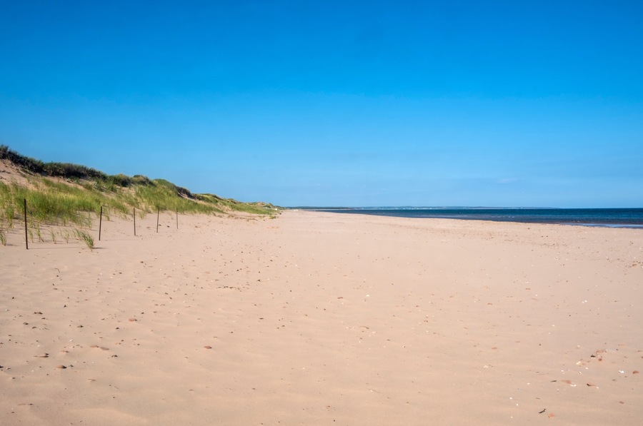 Een zandstrand met duinen en een helderblauwe lucht.