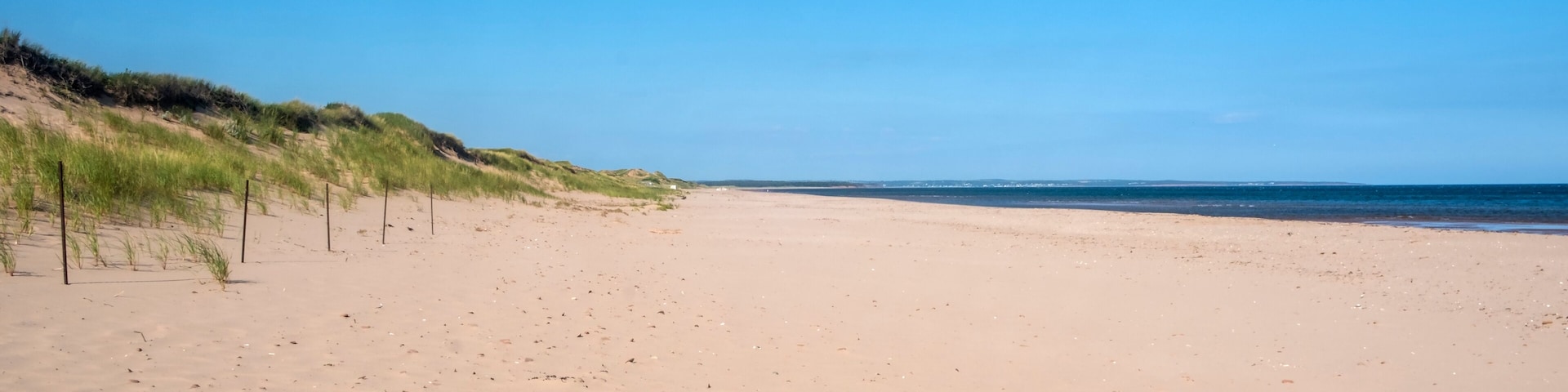 Uma praia arenosa com dunas e um céu azul claro.