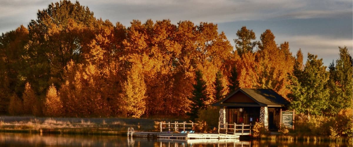 Beautiful fall colours! #rockyview #alberta#fallcolors