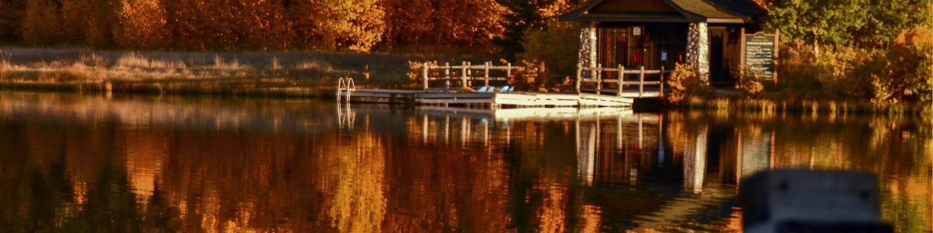 Beautiful fall colours! #rockyview #alberta#fallcolors
