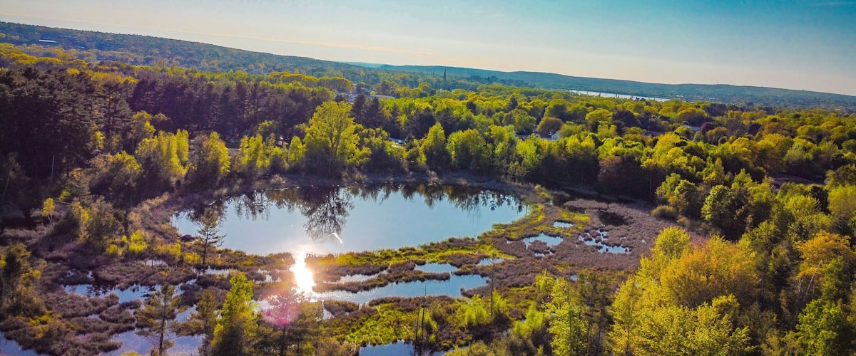 Maisema, jossa on järvi, jota ympäröi tiheä metsä, ja kauempana näkyy kirkon torni.