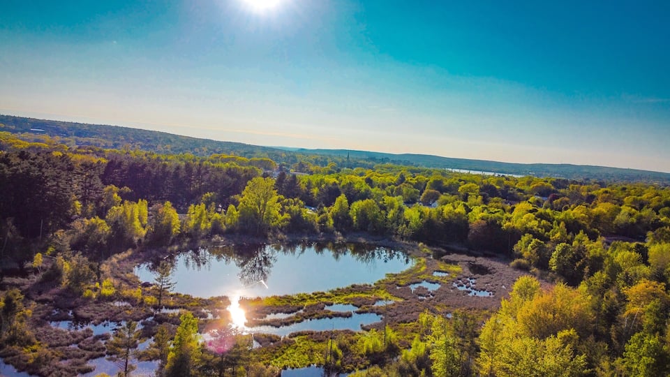 A landscape with a lake surrounded by dense forest and a distant church spire.