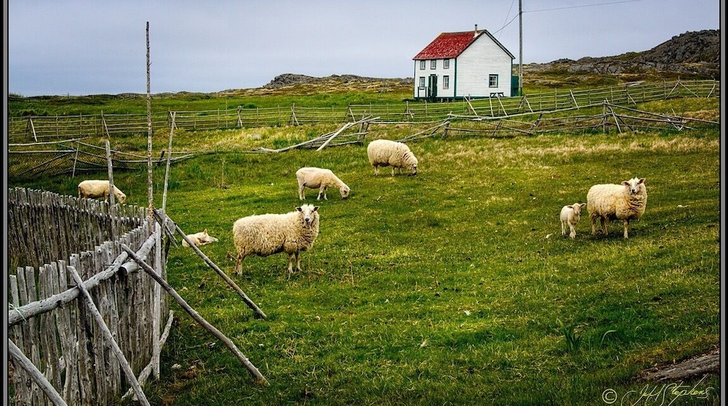 I shot this on a short hike that starts out at Sandy Cove and follows along the shore near Tilting.
#hiking