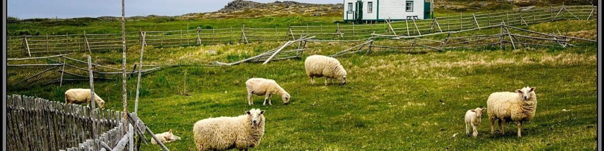 I shot this on a short hike that starts out at Sandy Cove and follows along the shore near Tilting.
#hiking