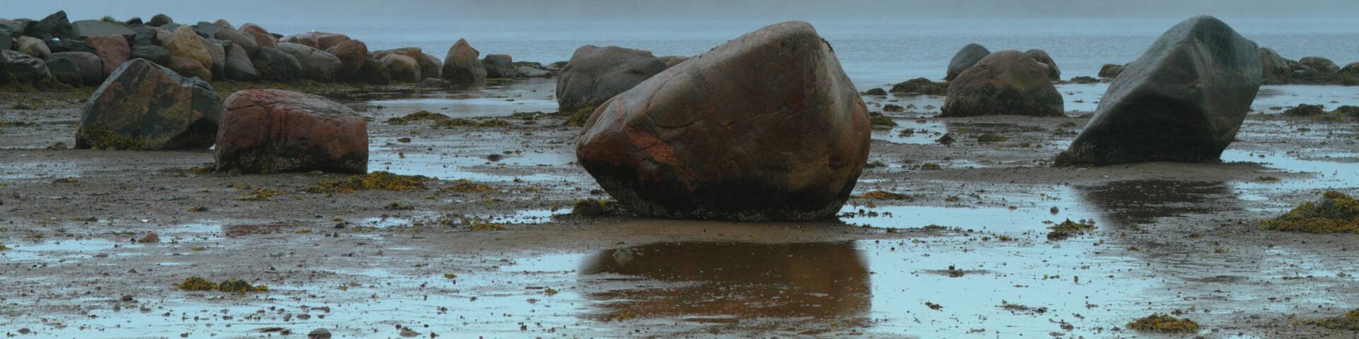 A rocky beach with large boulders and a misty mountain in the background.