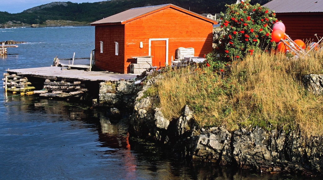 Boat House, Salvage, Newfoundland, Canada