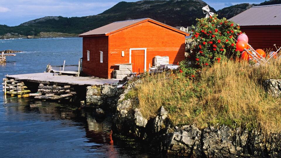 A red wooden building by a calm lake with a dock, surrounded by grass and red flowers.