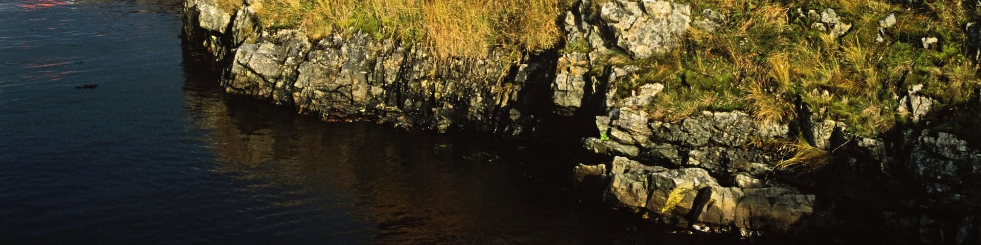 Boat Houses In The Fishing Village Of Salvage, Newfoundland, Canada