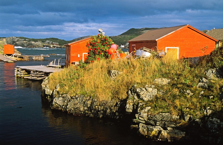 Boat Houses In The Fishing Village Of Salvage, Newfoundland, Canada