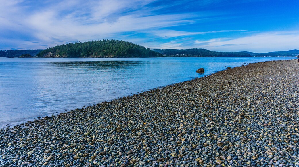 A rocky shoreline with a body of water in the background
