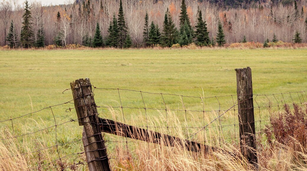Usually everyone climbs this hill for the view but it is equally as impressive from the bottom.