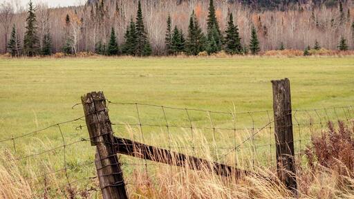 Usually everyone climbs this hill for the view but it is equally as impressive from the bottom.