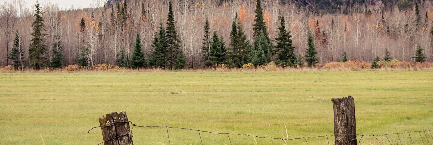 Usually everyone climbs this hill for the view but it is equally as impressive from the bottom.