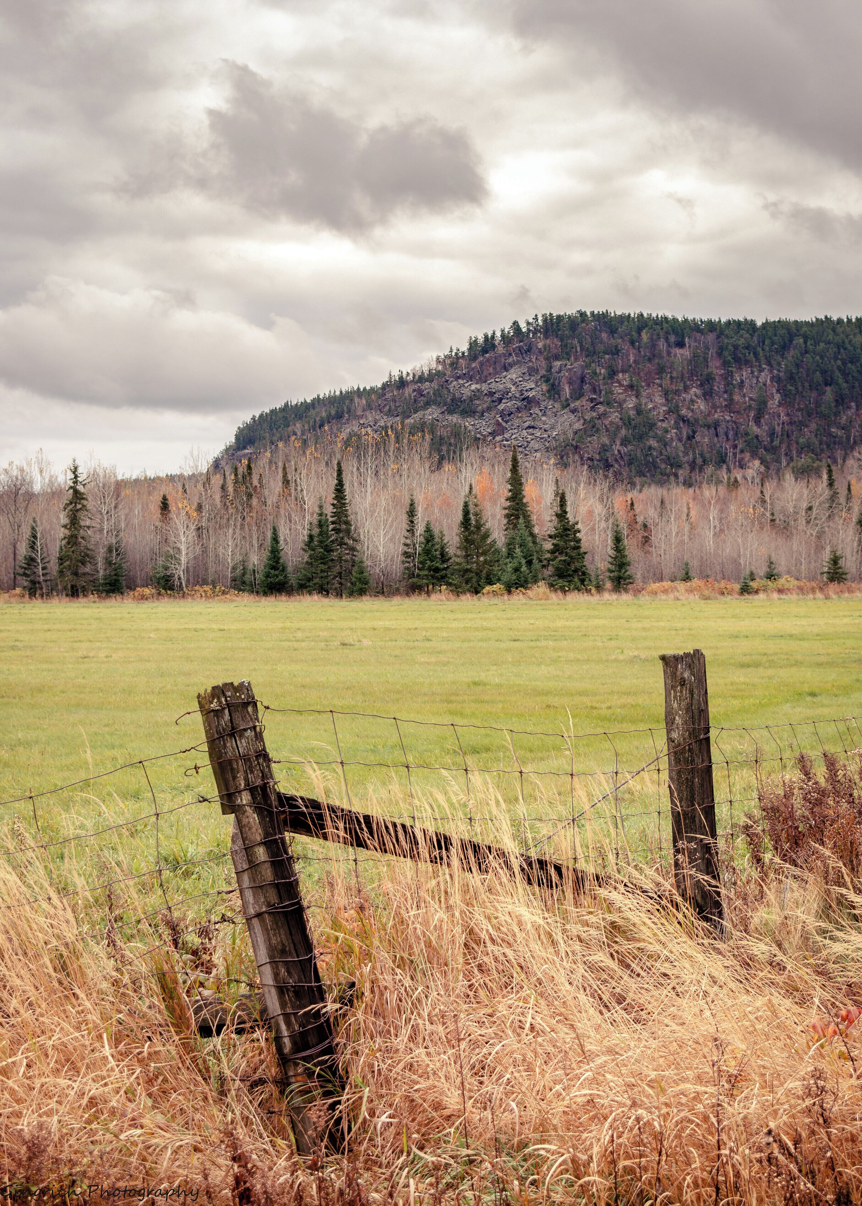 A grassy field with a wooden fence post and barbed wire. In the background, there is a forested hill with trees and a cloudy sky.