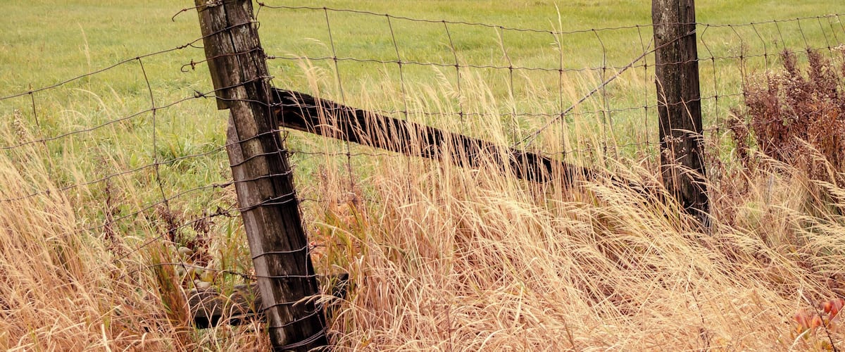 A grassy field with a wooden fence post and barbed wire. In the background, there is a forested hill with trees and a cloudy sky.