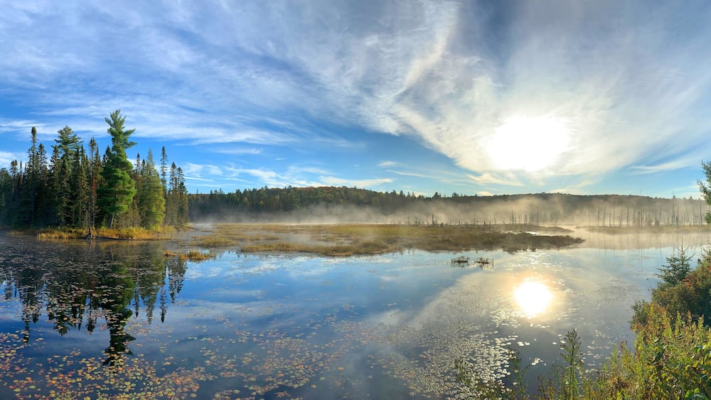 West Rose lake in the early morning fog along the Mizzy lake trail in Algonquin Park, Canada