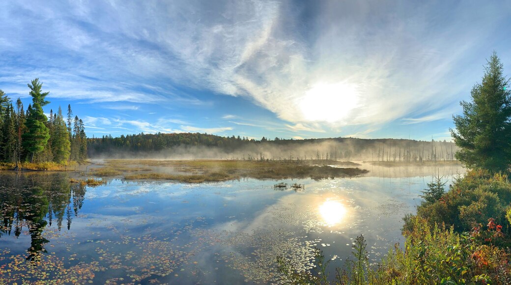 South Algonquin