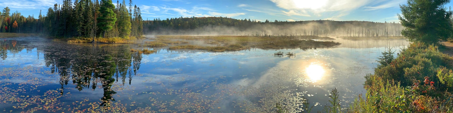West Rose lake in the early morning fog along the Mizzy lake trail in Algonquin Park, Canada